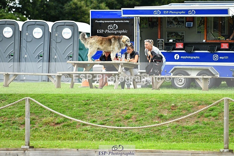 230712-182951-25799 - Cls 57 Newcomers & 1.10m Open