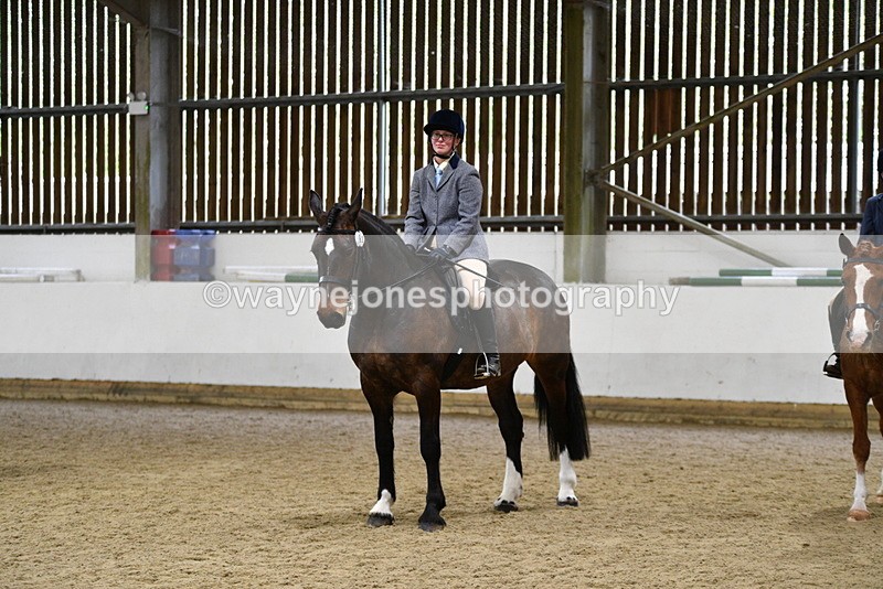 WJ5_8060 - Class 13 Ridden Part Breed