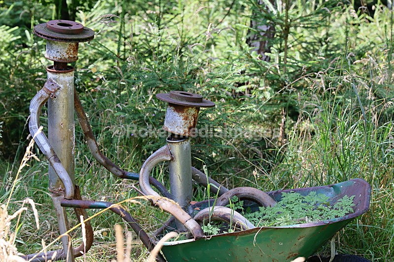  - Elemental Sculpture Park