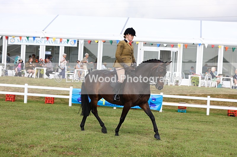 3E7A8957 - Class 3: Rising Star S/L Hunter