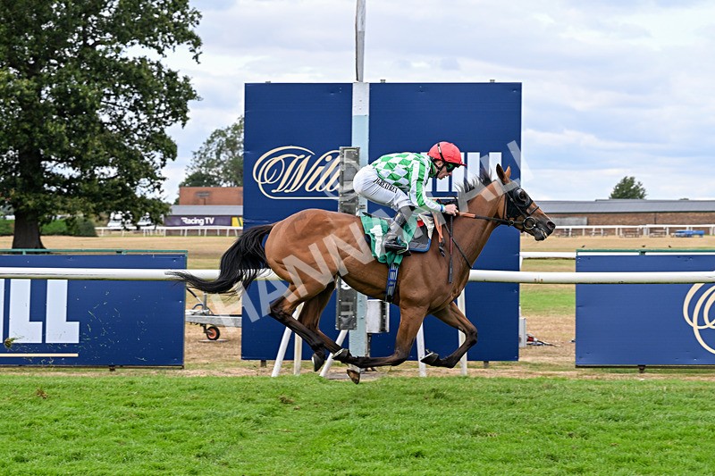 070826-Race 5-Master Vintner-2008 - Race 5 16.10pm William Hill, Market Place, Thirsk Handicap