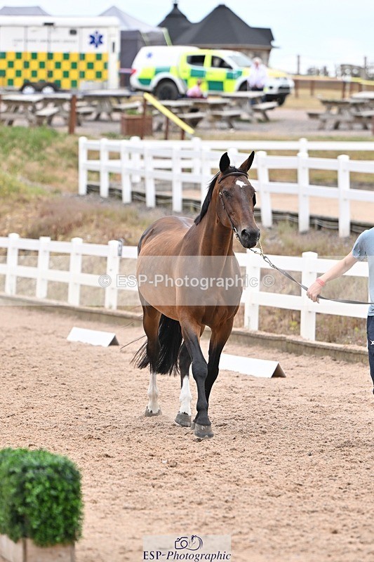 250716-140504-00897 - Trot Up 1.30 to 2.30