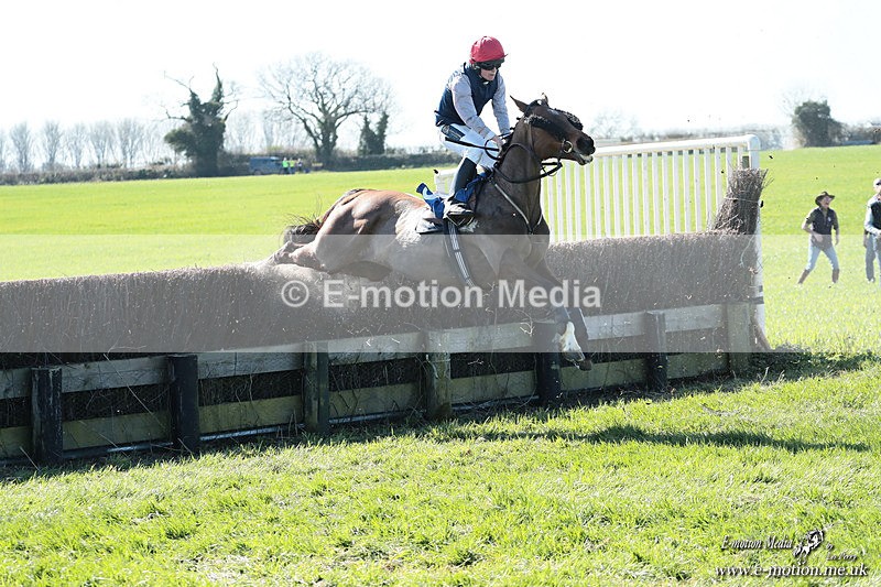 PtP 210326 119 - VWH Cirencester Races 21/03/26