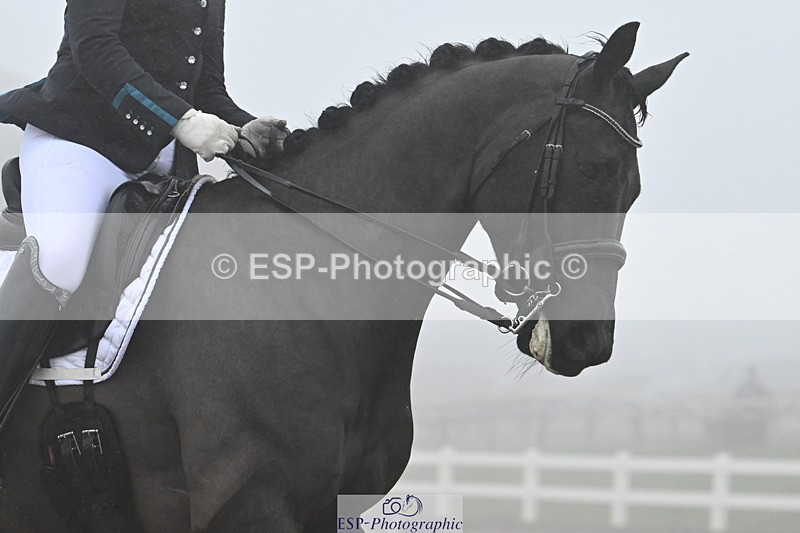 240217A-142041-03572 - 247-Fiona.Gair-BRS.Kingdom