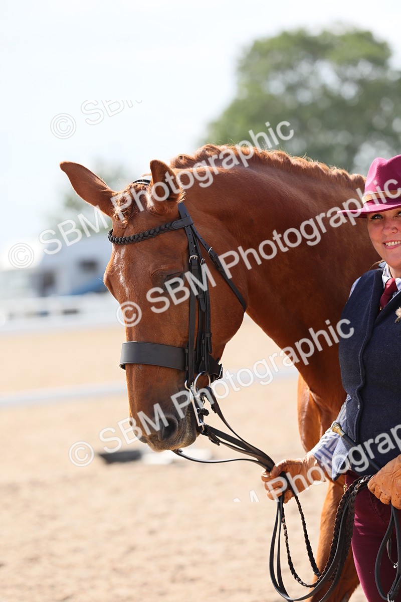 SBM_15775 - Class 312 IH Competition Horse/Pony