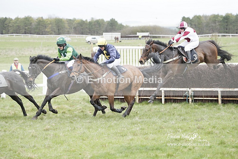 PtP 260323 0498 - New Forest Hounds Point-to-Point Larkhill 26/03/23