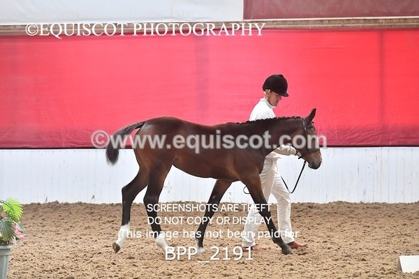 BPP_2191 - AFTERNOON 12.30 - 3.30PM