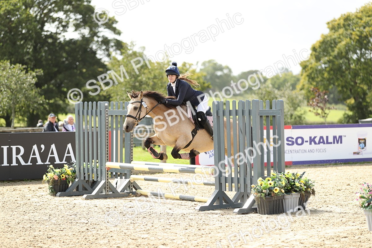 SBM_06457 - J29 - Senior Horse & Pony 65cm Championship