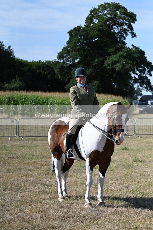 WJ7_3142 - Class 8 Ridden Tack & Turnout