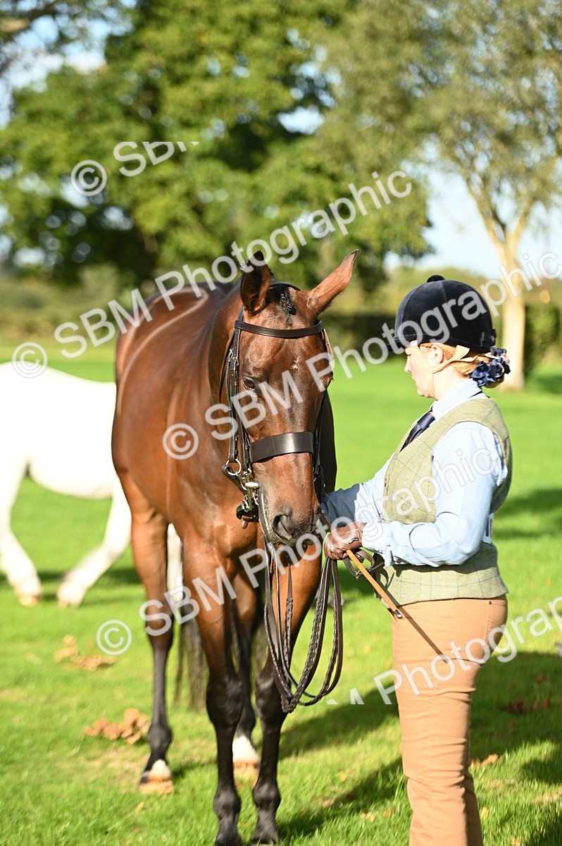 SBM_14728 - S1 - TSR in Hand Horse & Pony Showing