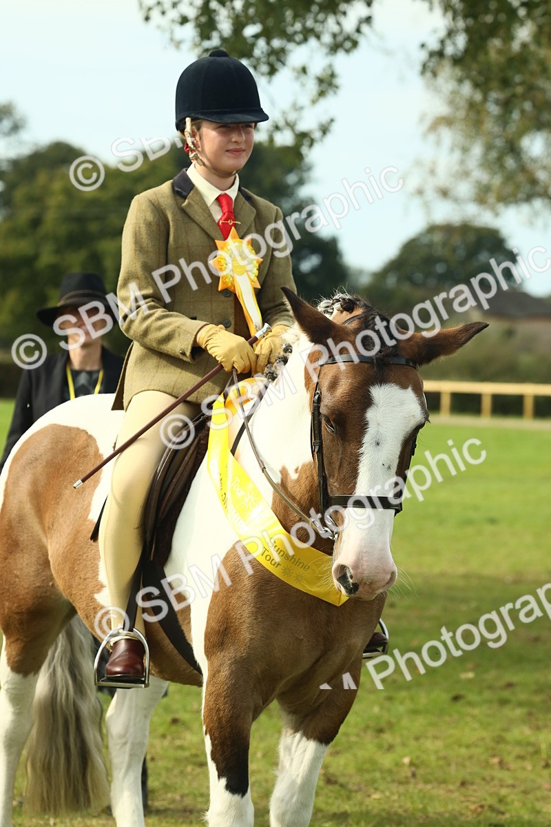 SBM_68148 - S57 - Part Bred Pony Ridden