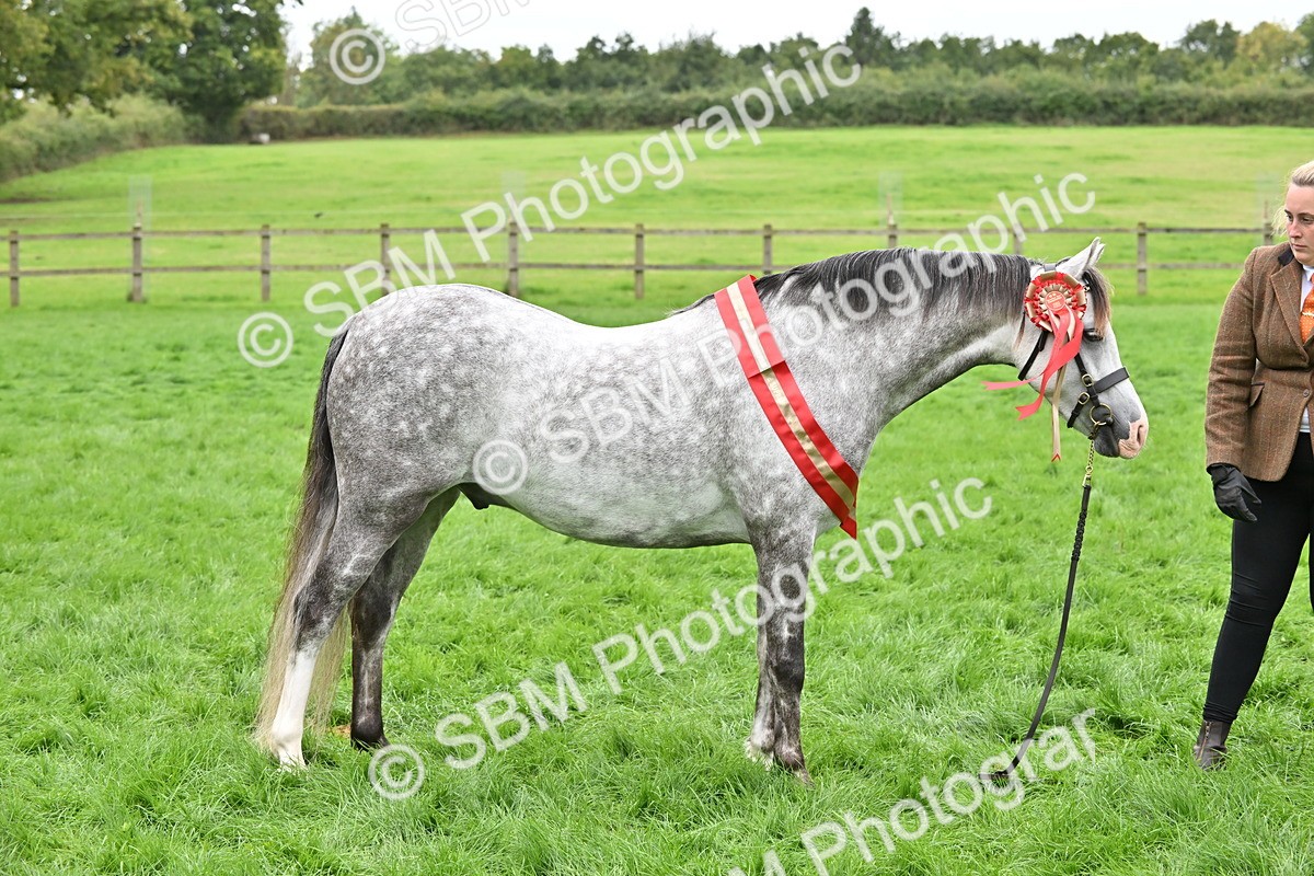 SBM_65024 - In Hand Pony & Younstock Supreme Championship