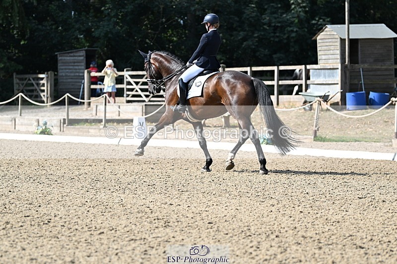 250810A-101817-05085 - 161-Elizabeth.AllenFreestyle.R