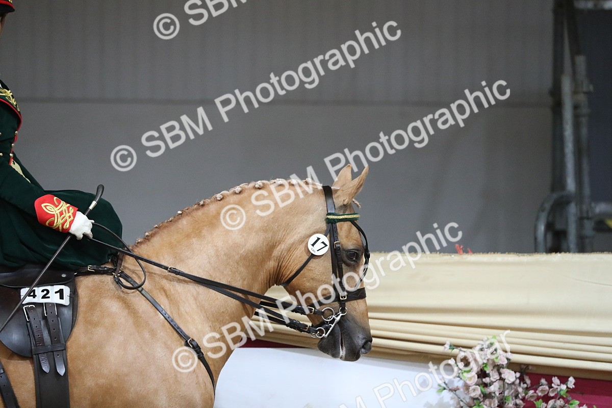 SBM_11514 - Class 105 Ridden Costume- Side Saddle
