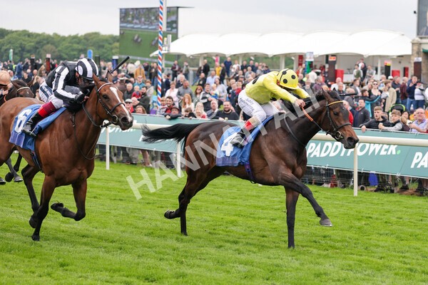 yr13052022r2-17 - Race 2 2.25pm Oaks Farm Stables Fillies' Stakes (registered as the Michael Seely Memorial Stakes)