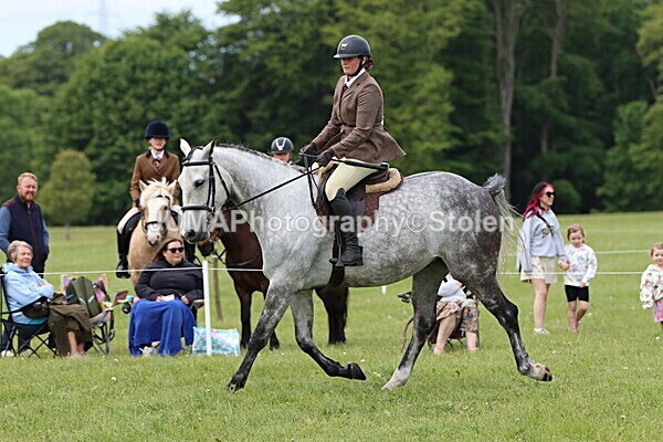 IMG_2840 - Working Hunter
