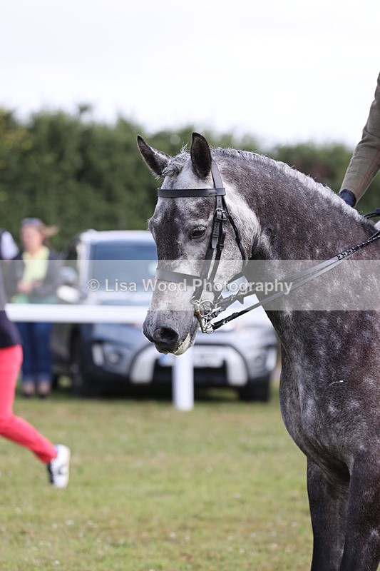 JPP_1225 - Class 17: Cornish Combination Open