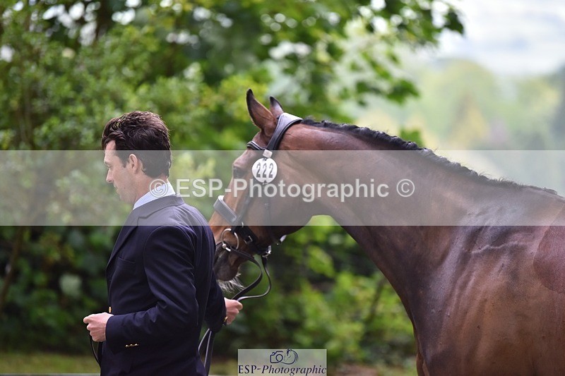 240522-164818-01171 - 222-KILCANNON_SENSATION-Harry_Meade