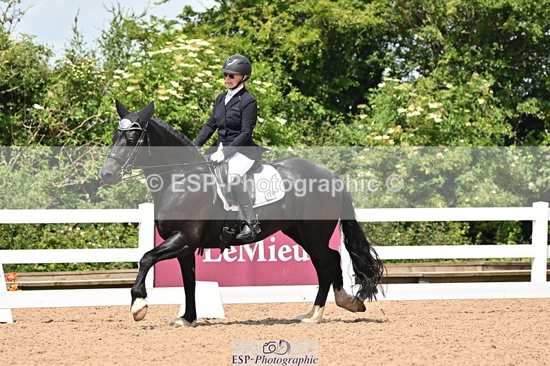 240621A-115516-02015 - Cls 7 BD Elementary 45