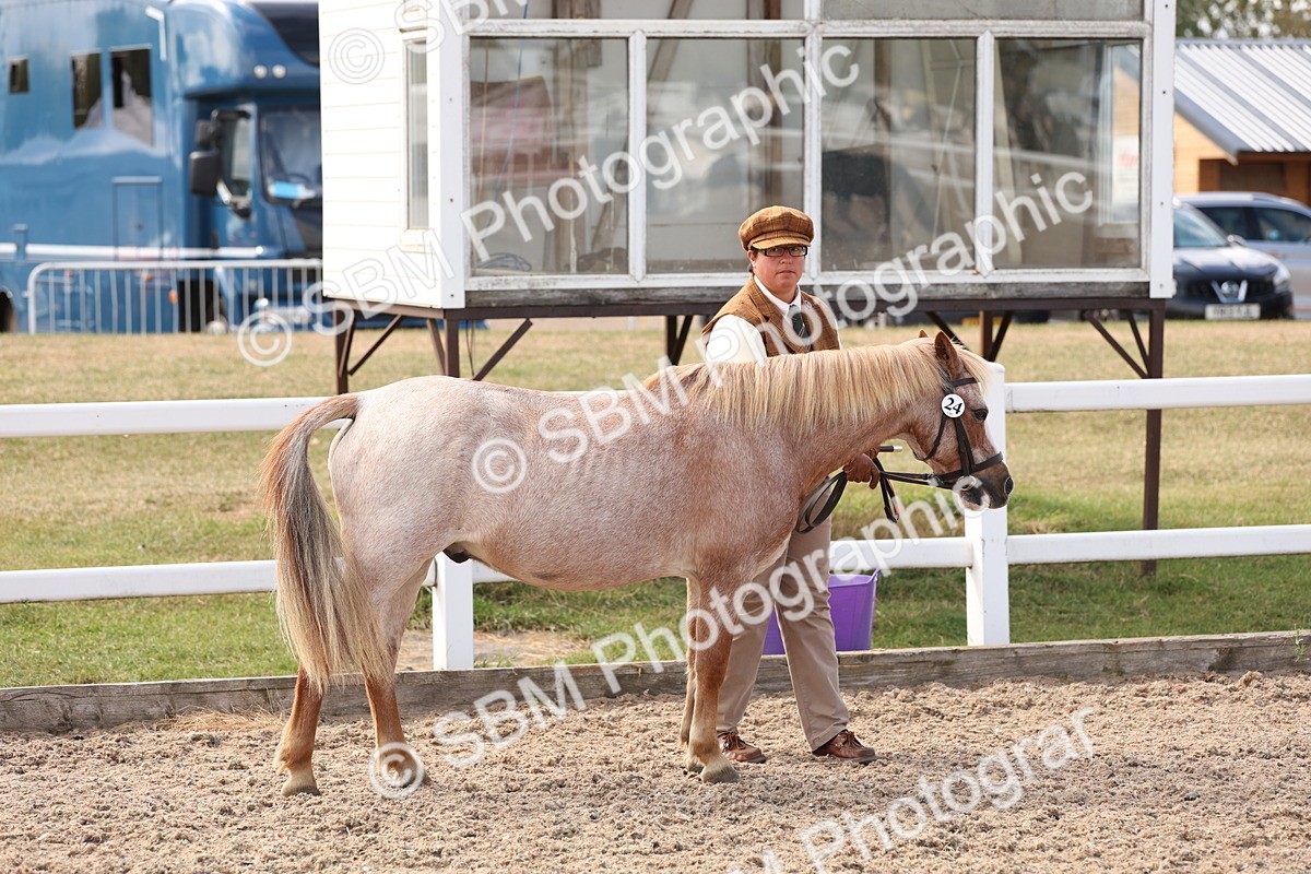 SBM_15059 - Class 209 - IH Veteran Pony