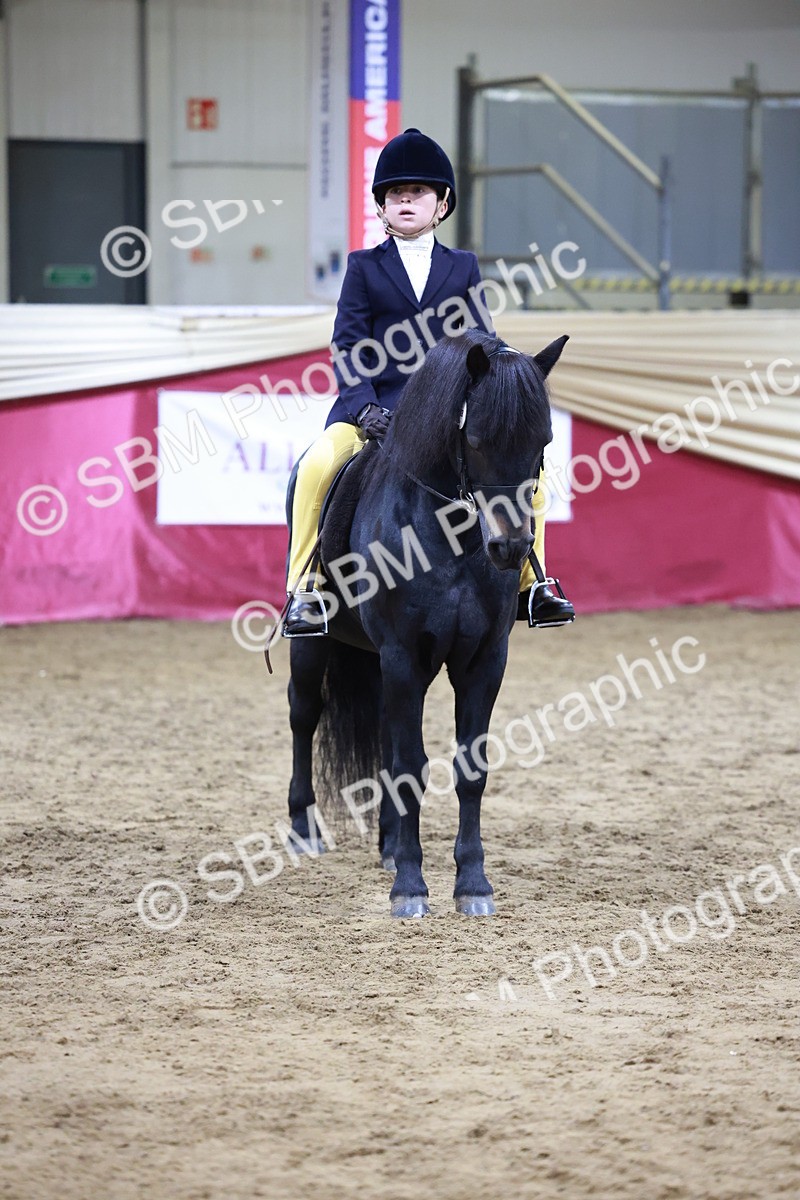 SBM_20562 - Class H - IH Competition - Riding Club champ