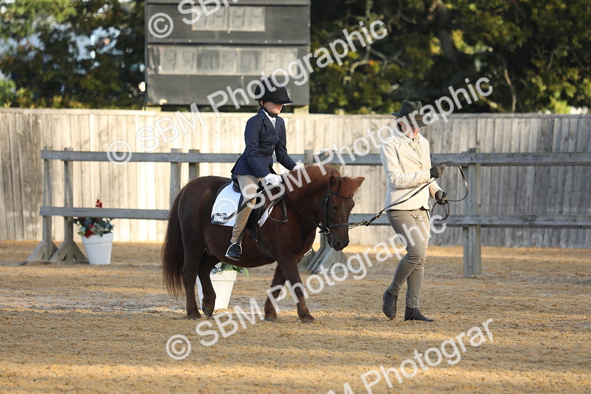 SBM_33612 - D26 - Starers - Lead Rein