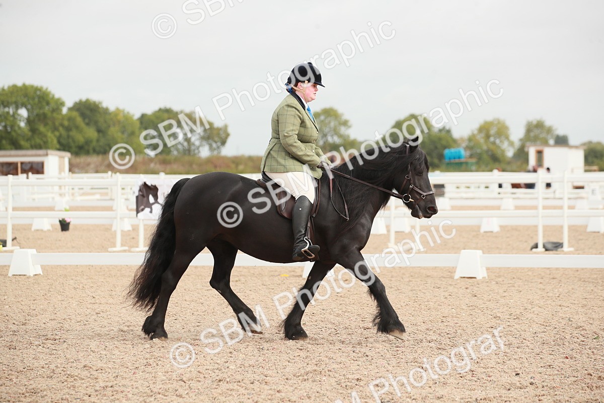 SBM_02541 - Class 30 - Intro 1