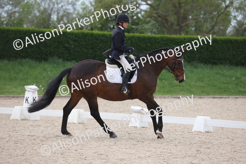 20260502-1091 - Class 9 - Novice 1