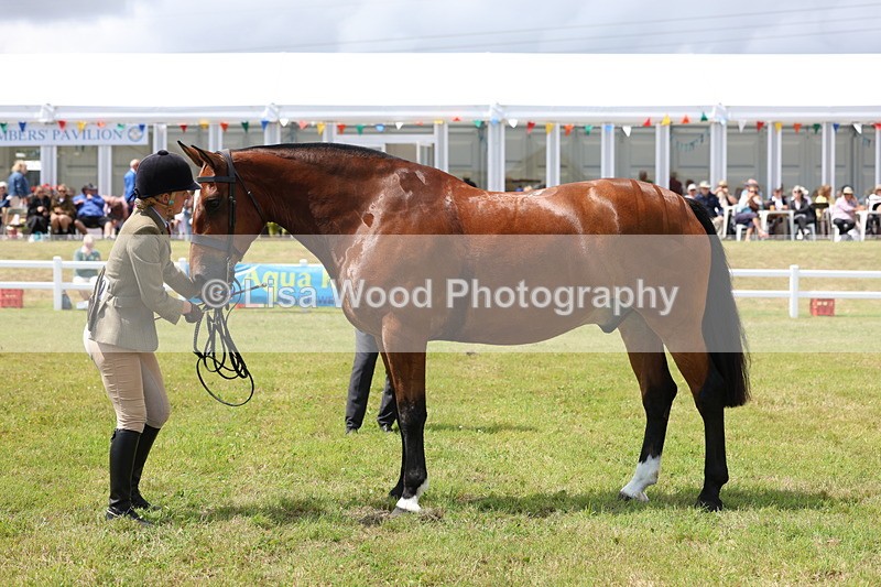 3E7A2230 - Class 10: Open Cob