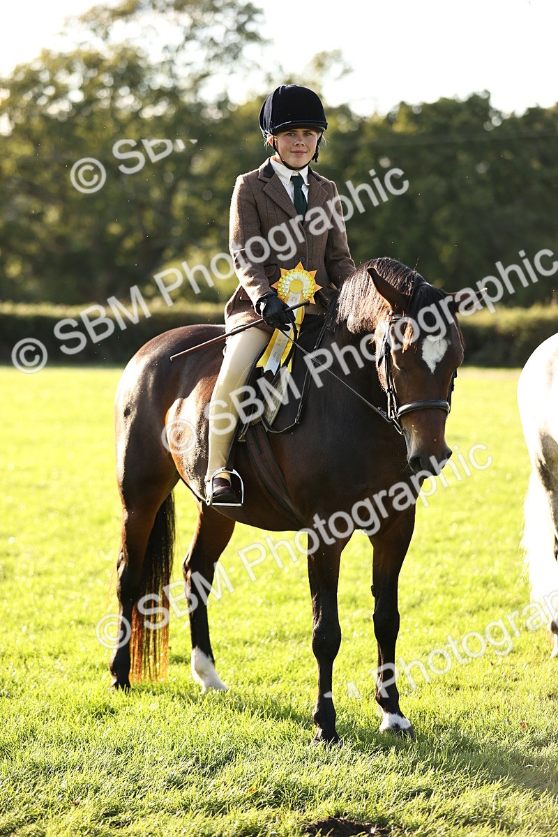 SBM_29651 - S7 - Novice & Newcomers Ridden Pony