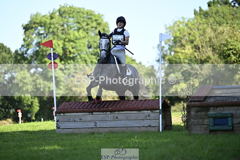 240811A-164445-06652 - 455-