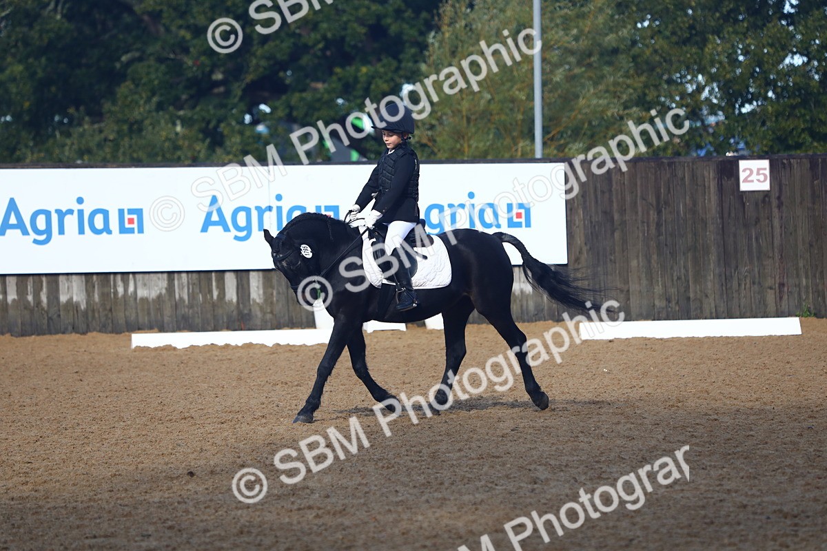 SBM_38908 - D21 - Junior Championship Intro 1