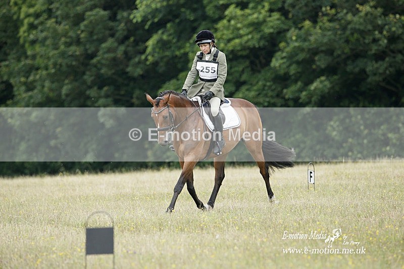 BVRC 030721 237 - Bourne Valley Riding Club Dressage 03/07/21
