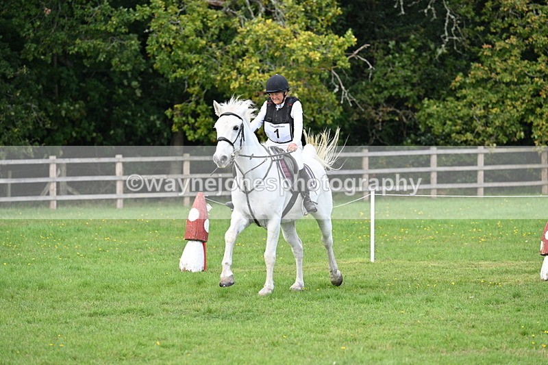 WJ7_4070 - 40cm Time 10:44 to 10:52