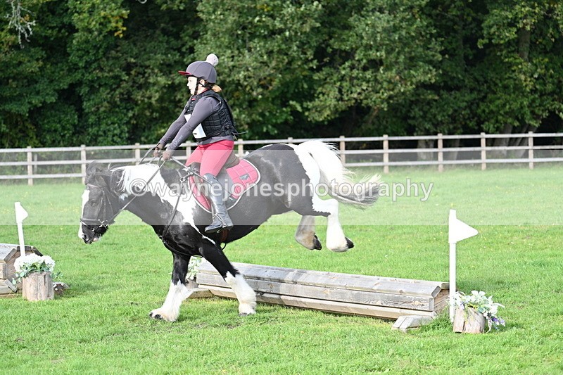 WJ7_3696 - 40cm Time 10:26 to 10:42