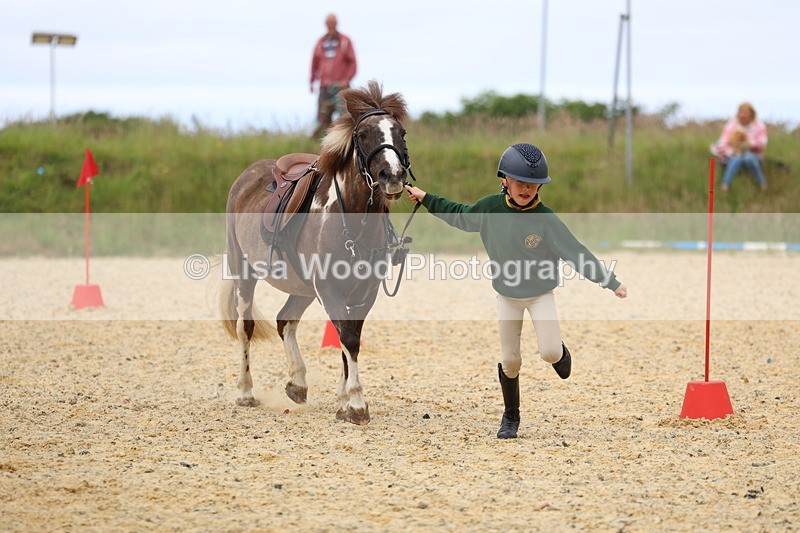 3E7A9580 - Walk trot run