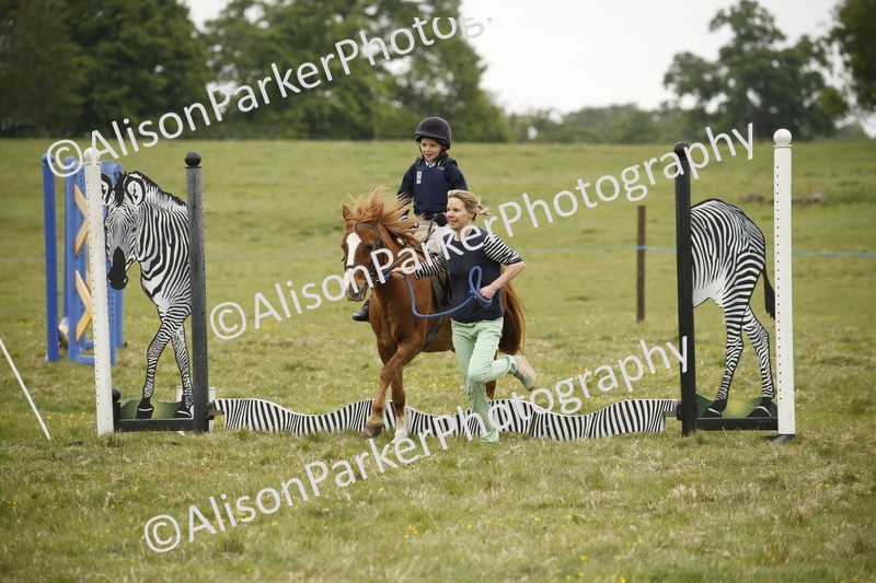 20250517-0246 - Class 1 - 30cm On Lead Rein