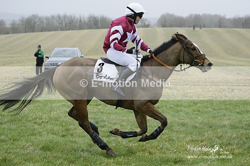 PtP 200222 122 - Countryside Alliance PtP Badbury Rings 20/02/22