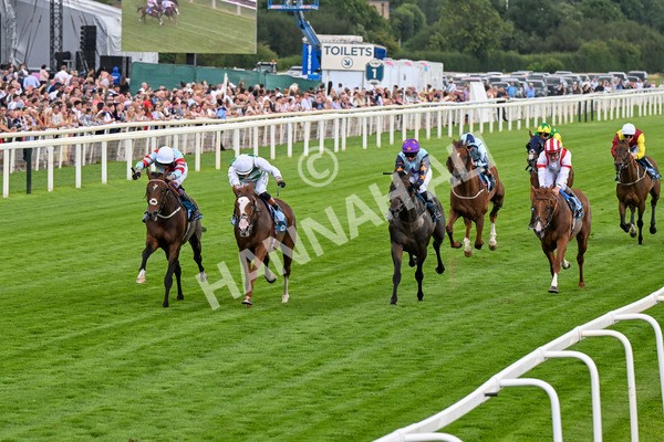 260725-Race 5-Beylerbeyi-0699 - Race 5 3.50pm Sky Bet, For The Fans Handicap