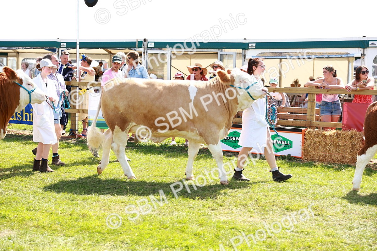 SBM_08438 - Grand Parade