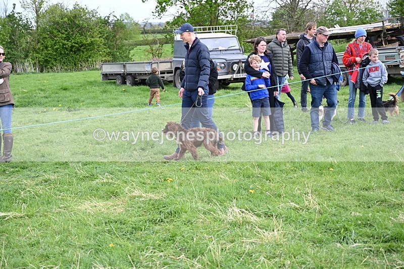 WJ6_8489 - Class 6 Best Rescue