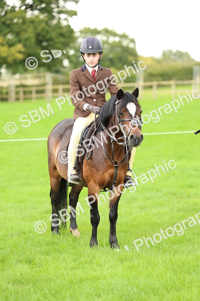 SBM_41865 - S32 - Mountain & Moorland Working Hunter Pony