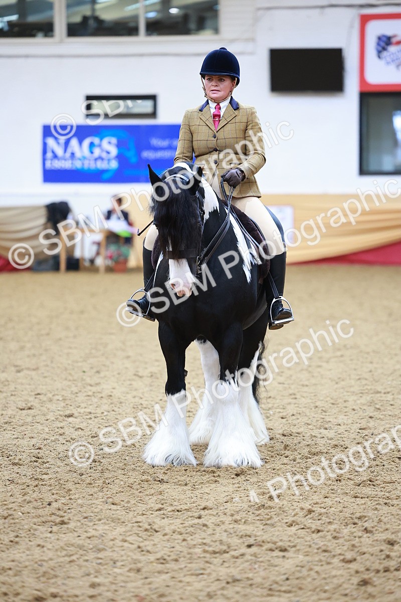 SBM_06270 - Class 12R - Ridden Pre-Vet