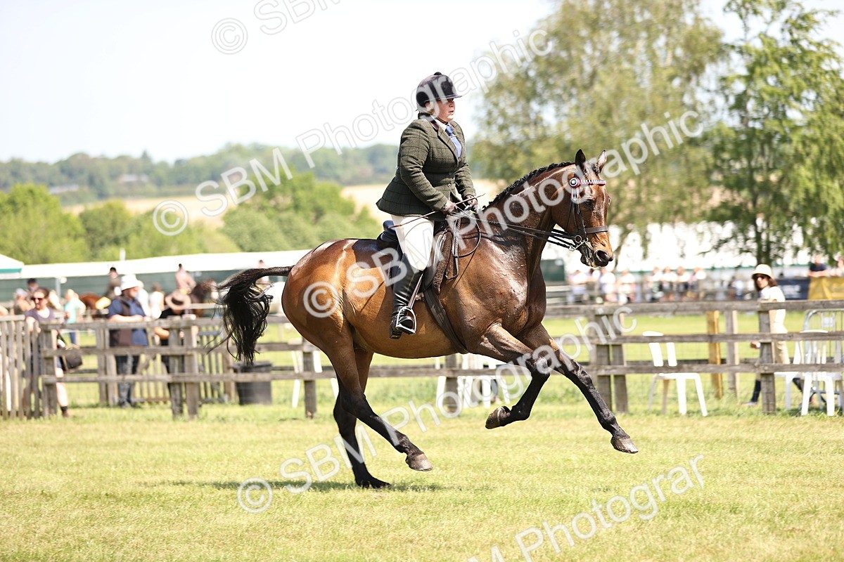 SBM_14941 - Class 78 - LIHS BSHA Open Racehorse & Show Horse