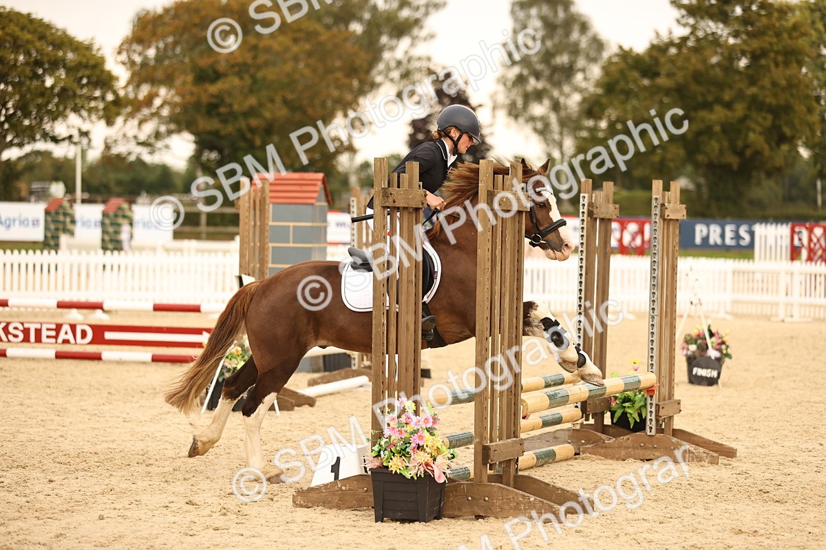 SBM_74306 - J14 - Junior Pony 65cm Championship