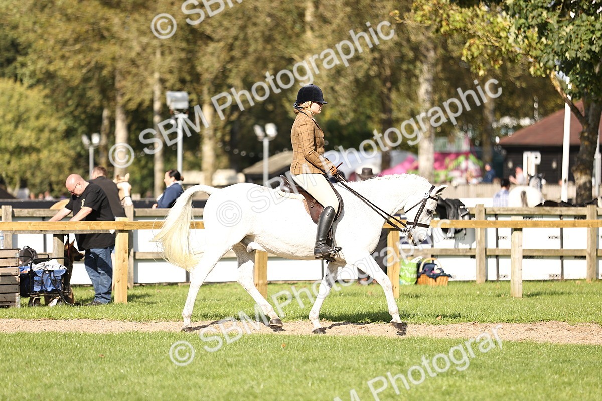 SBM_26332 - S6 - Novice & Newcomers Ridden Horse