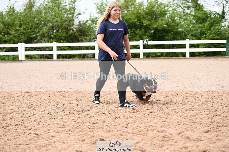 240518A-120822-01099 - Cls 3 Handsomest Dog