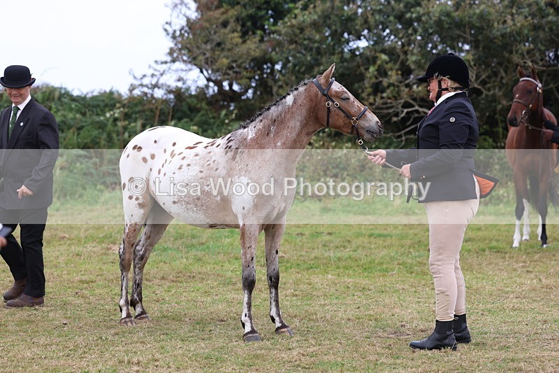 3E7A4148 - Class 15: Two Year Olds