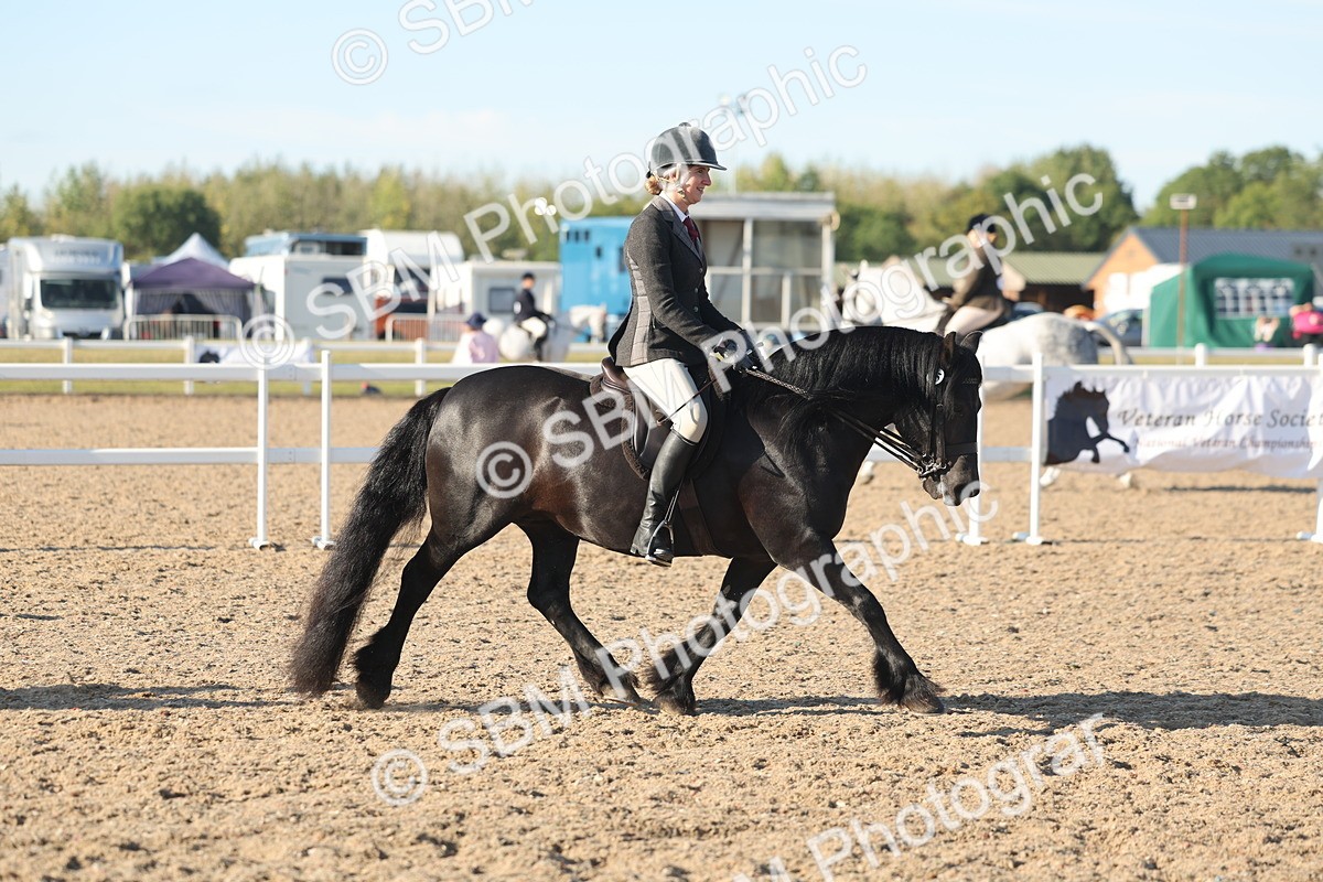 SBM_11021 - Class 302 - Ridden M&M Large Breeds