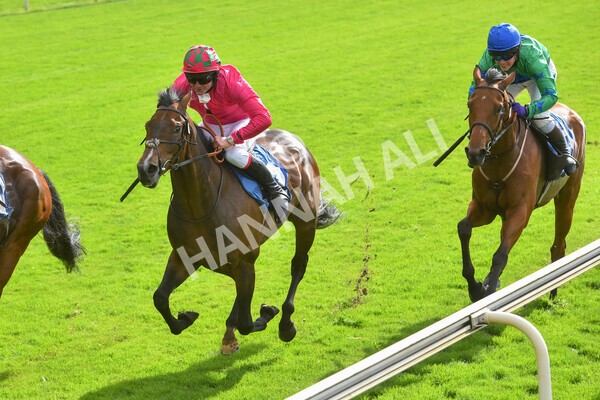 yr24092021r1-144 - Race 1 1.10pm Ernest Cooper Macmillan Ride of Their Lives